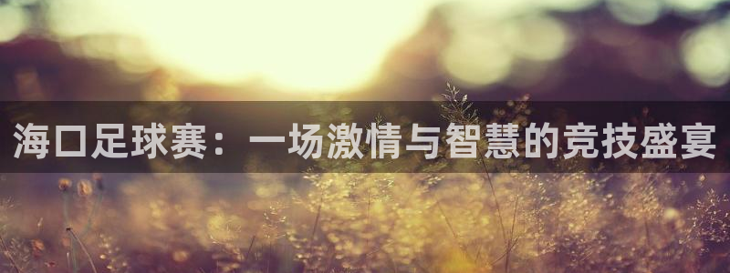  海口足球赛：一场激情与智慧的竞技盛宴