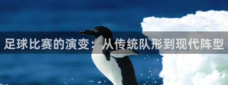 足球比赛的演变：从传统队形到现代阵型