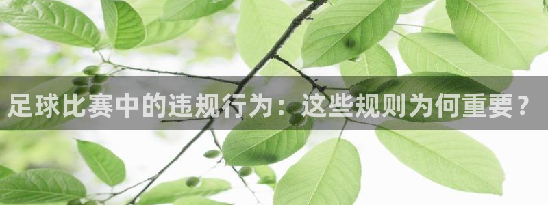 足球比赛中的违规行为：这些规则为何重