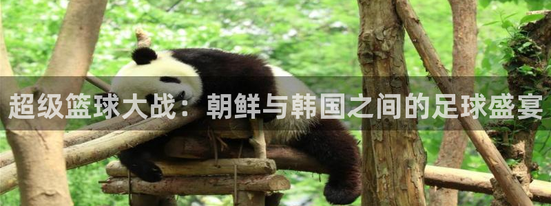  超级篮球大战：朝鲜与韩国之间的足球盛宴