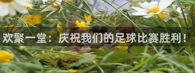 欢聚一堂：庆祝我们的足球比赛胜利！