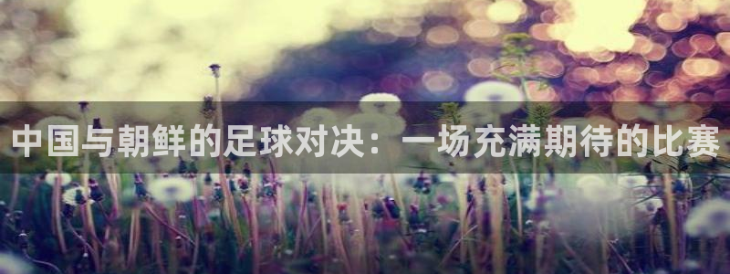 中国与朝鲜的足球对决：一场充满期待的比赛