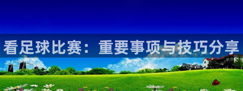  看足球比赛：重要事项与技巧分享