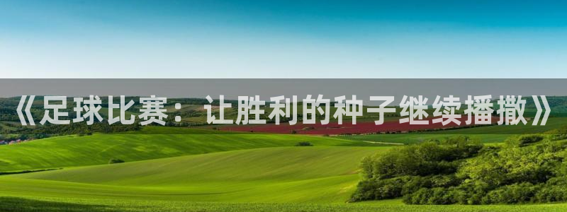 《足球比赛：让胜利的种子继续播撒》