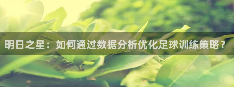 明日之星：如何通过数据分析优化足球训练策略？