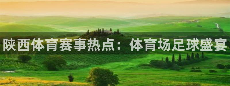  陕西体育赛事热点：体育场足球盛宴