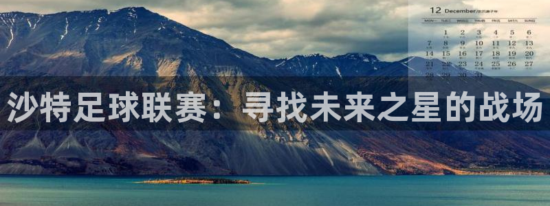 沙特足球联赛：寻找未来之星的战场