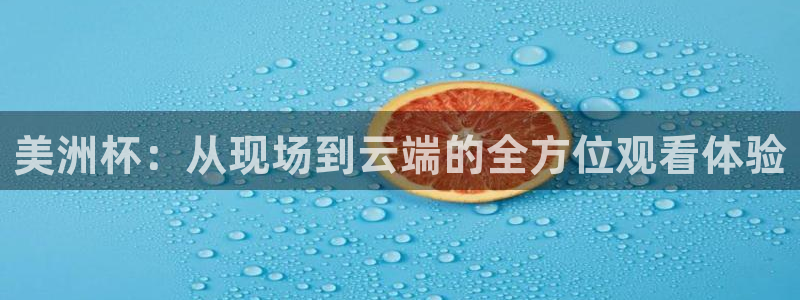 新球体育足球比分