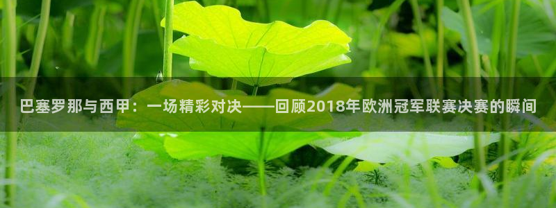 巴塞罗那与西甲：一场精彩对决——回顾
