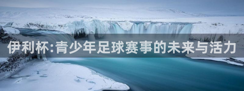 伊利杯:青少年足球赛事的未来与活力