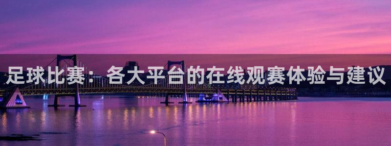 足球比赛：各大平台的在线观赛体验与建