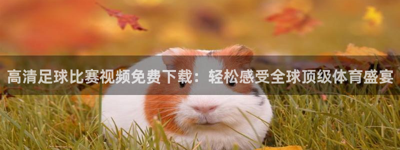 高清足球比赛视频免费下载：轻松感受全