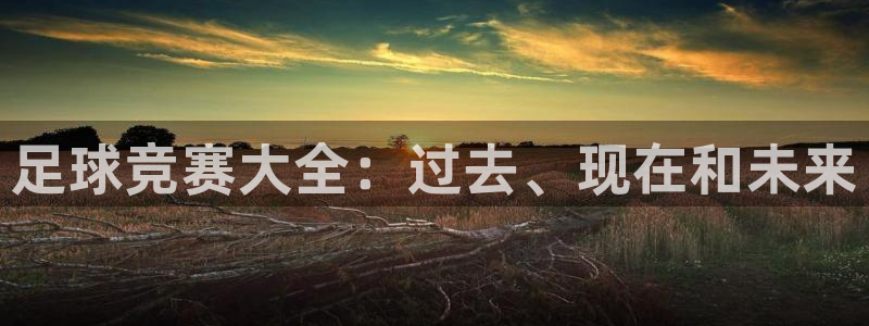 足球竞赛大全：过去、现在和未来