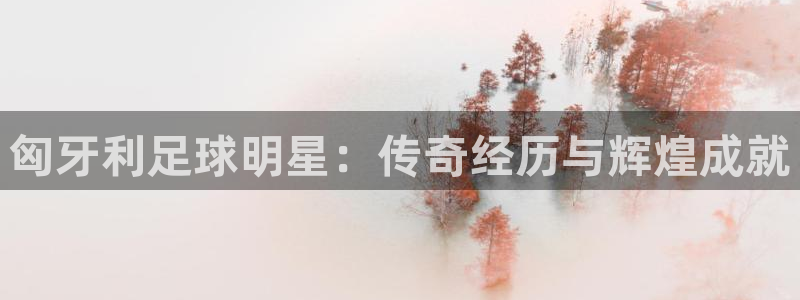 匈牙利足球明星：传奇经历与辉煌成就