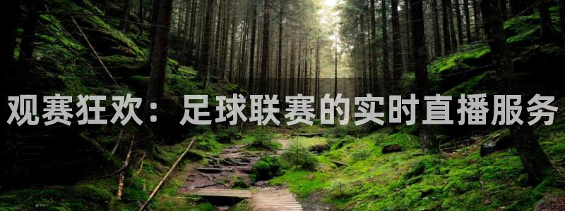 观赛狂欢：足球联赛的实时直播服务