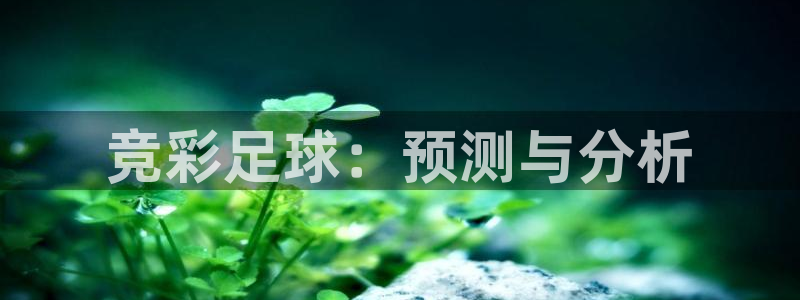 竞彩足球：预测与分析
