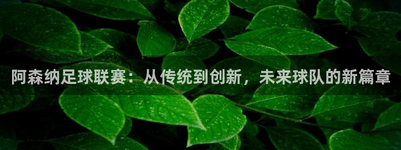 阿森纳足球联赛：从传统到创新，未来球队的新篇章