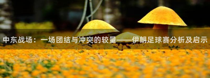  中东战场：一场团结与冲突的较量——伊朗足球赛分析及启示