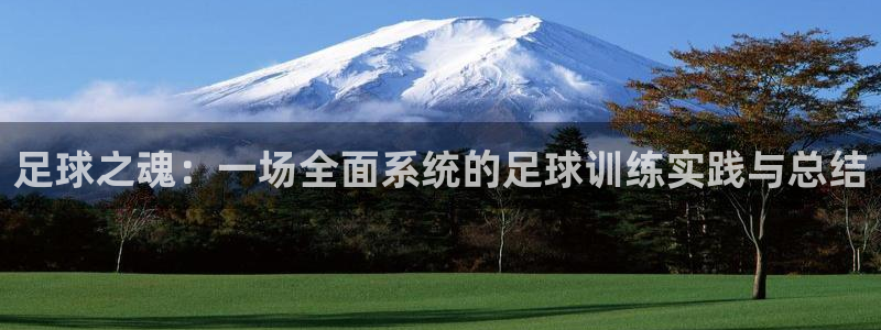  足球之魂：一场全面系统的足球训练实践与总结