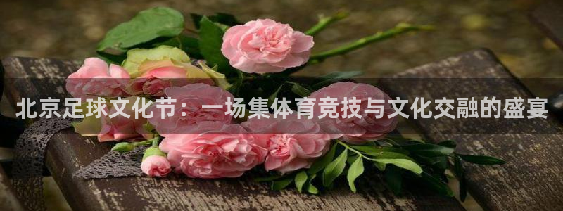  北京足球文化节：一场集体育竞技与文化交融的盛宴