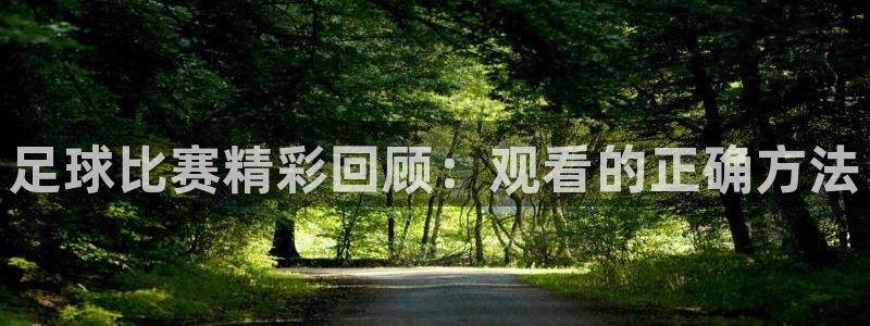  足球比赛精彩回顾：观看的正确方法