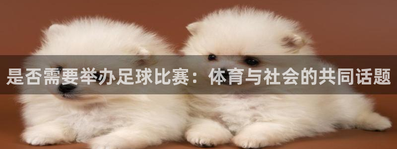  是否需要举办足球比赛：体育与社会的共同话题