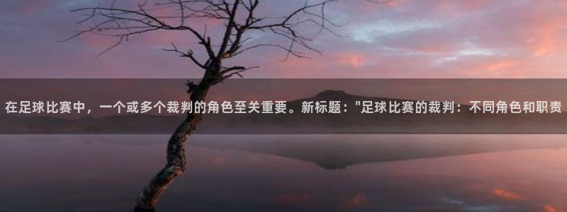 在足球比赛中，一个或多个裁判的角色至
