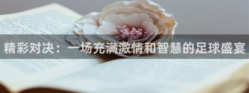 精彩对决：一场充满激情和智慧的足球盛宴