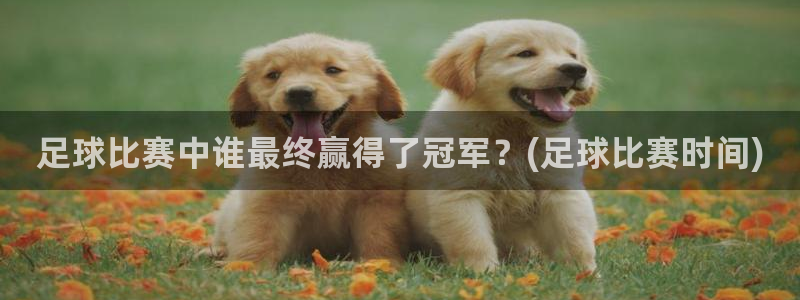 足球比赛中谁最终赢得了冠军？(足球比赛时间)