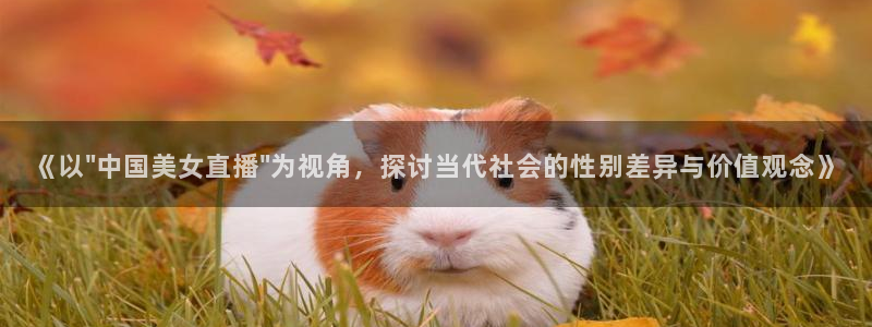 新球体育app：《以\