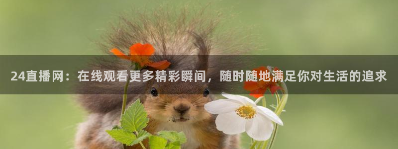 新球体育完整版：24直播网：在线观看更多精彩瞬间，随时随地满足你对生活的追求
