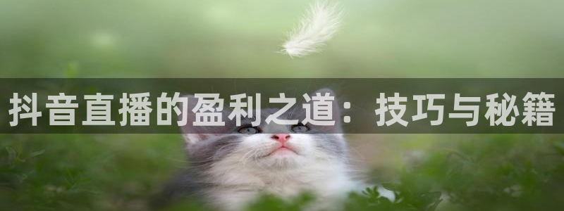 新球赛直播：抖音直播的盈利之道：技巧与秘籍