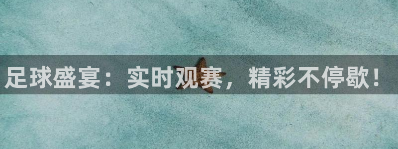 新球体育足球比分：足球盛宴：实时观赛，精彩不停歇！